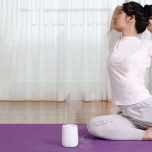 Xiaomi HL 120ML Diffuser Humidifier Quiet Air Aroma Mist Maker