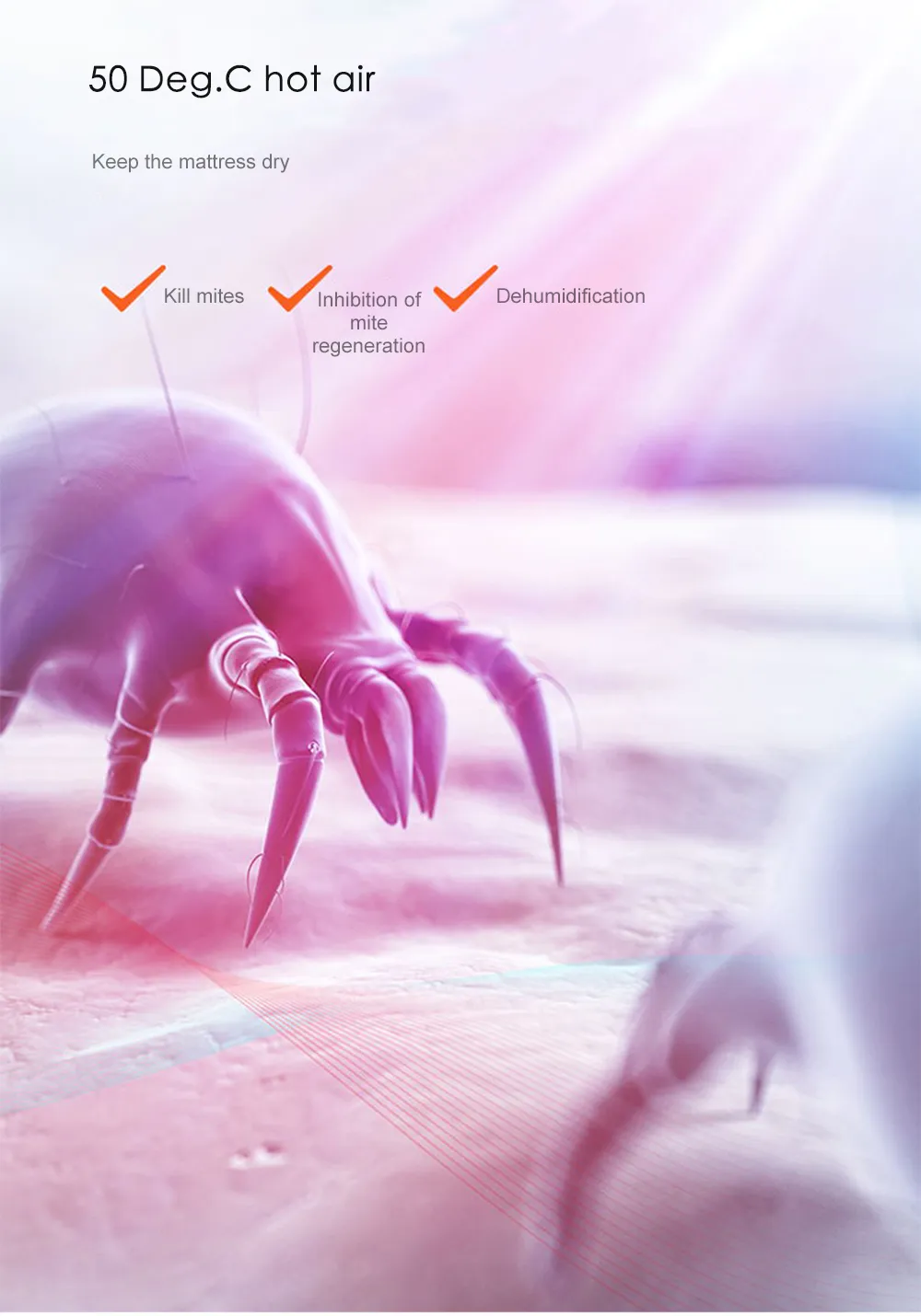 Xiaomi Deerma Dust Mite Vacuum Cleaner (1)