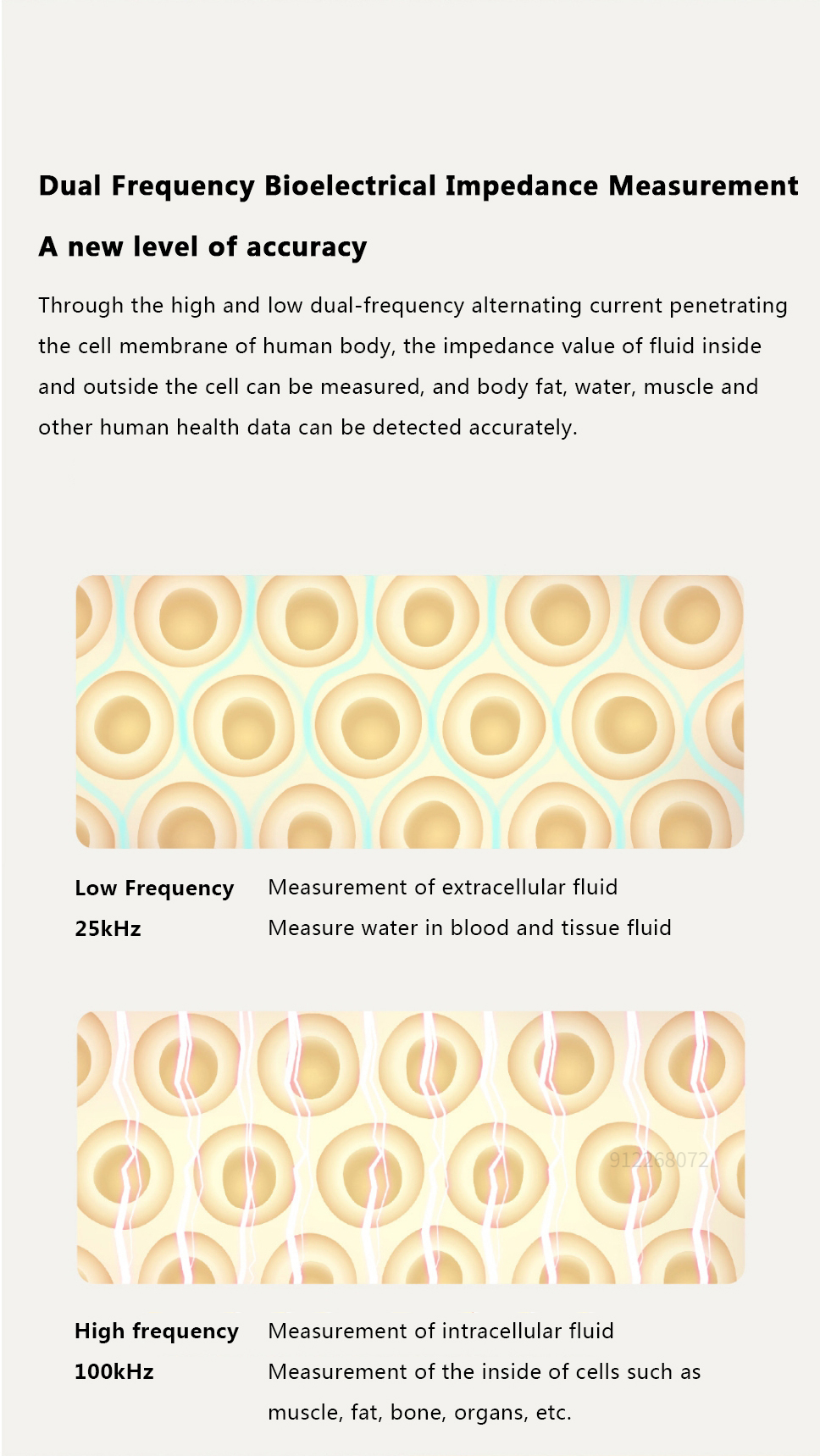 Xiaomi Mijia Body Composition Scale S400